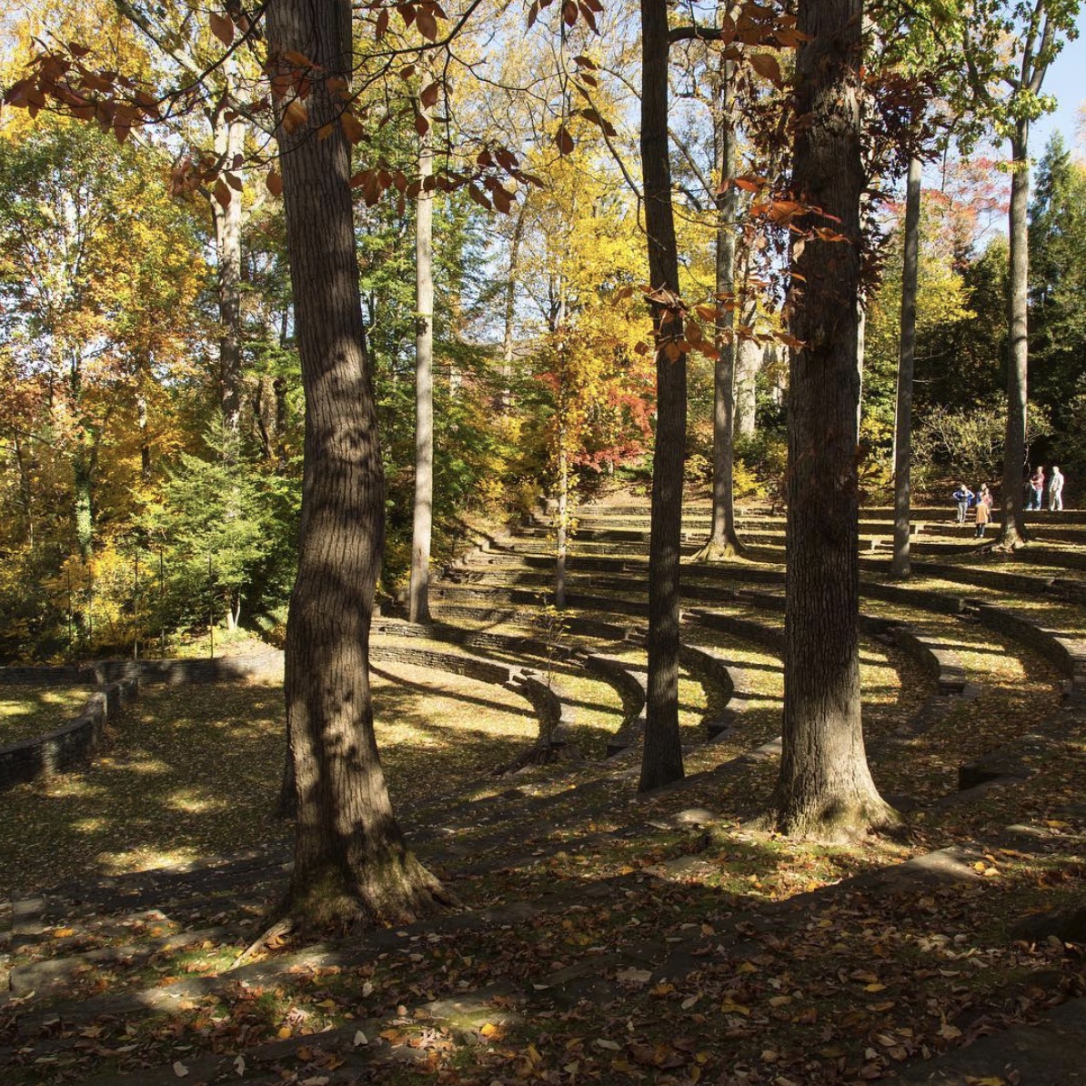 Outdoor amphitheater with curved stone seating surrounded by tall trees showing autumn colors and a few people standing in the distance.