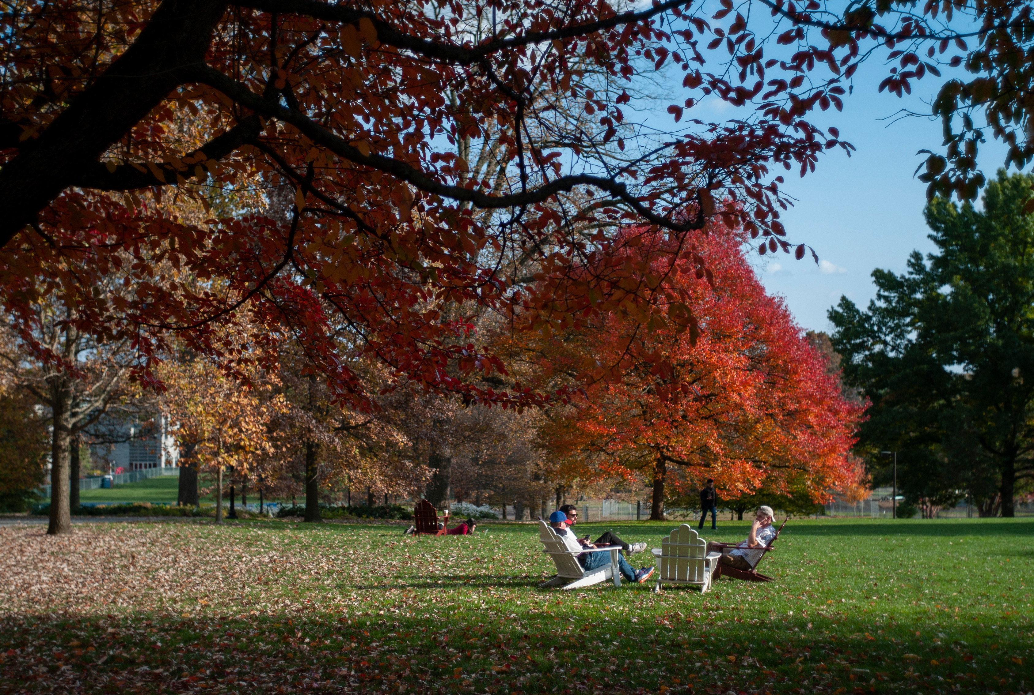 Fall foliage on the campus of Swarthmore College in Swarthmore, PA on Tuesday, Nov. 1, 2022. (Laurence Kesterson/Staff Photographer)
